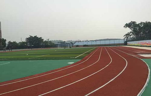 学校塑胶跑道的常见材料类型及特点