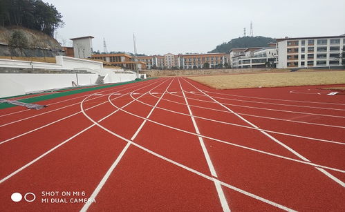 慈溪新国标现浇塑胶跑道 品质与耐用的标杆之选