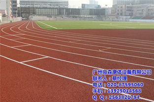 复合型塑胶跑道厂家选择指南 广州帝森助力郴州运动地面建设