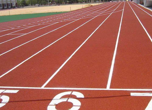 2026年4月江苏塑胶跑道优质供应商评选与推荐指南