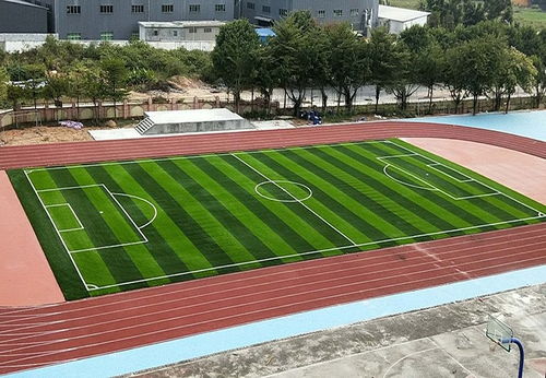 守护奔跑的足迹 新国标透气型塑胶跑道为何成为中小学“新宠”